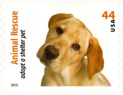 USA 2010 ANIMAL RESCUE ADOPT A SHELTER PET 20 STAMPS, SCOTT 4451-4460 MNH