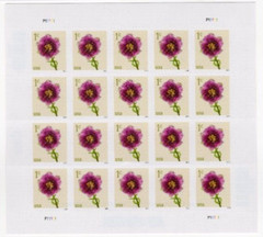 Scott #5897 Flowers Fringed Tulip Sheet of 20 Stamps – MNH