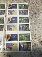 Garden Delights (Booklet of 20) Forever Stamps 2024 Post Office Fresh – Sharp