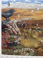 USA 34 Cent Nature of America: Arctic Tundra Postage Stamps, Sheet of 24