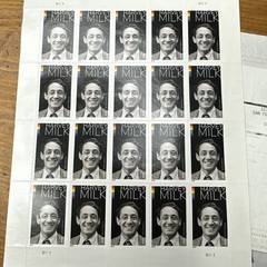 US 2014 SC 4906 Harvey Milk, Forever Sheet of 20 MNH Fresh