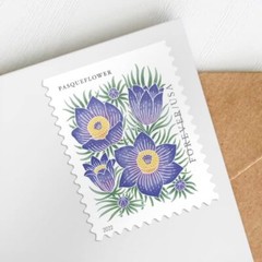 Mountain Flora Forever Postage Stamps 100 US First Class Rubber Stamp Strip