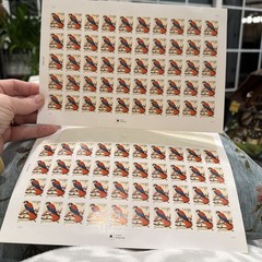 US SCOTT 3031 1-Sheet OF 50 1-40 AMERICAN KESTREL STAMPS 1CT FACE MNH#111 1991