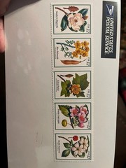 3193-97 Flowering Trees 1998.