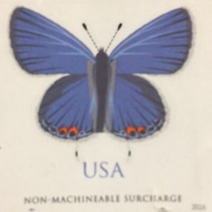 1 UNUSED EASTERN TAIL BUTTERFLY NON- MACHINEABLE SURCHARGE 2016 FOREVER STAMP