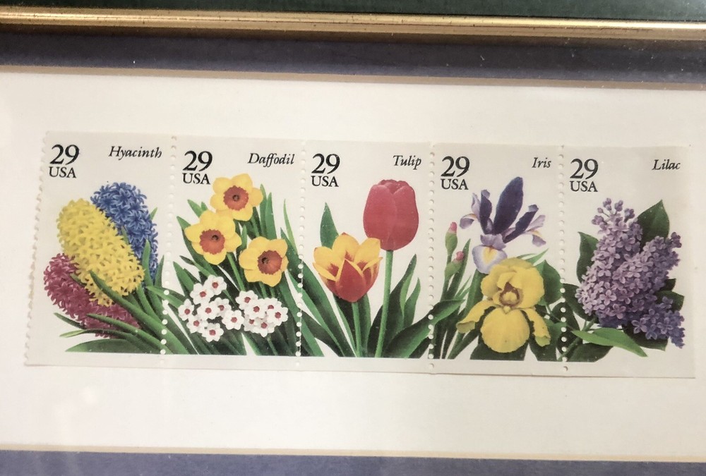 Garden Flower Series 1st Installment 1993 US Postage Stamps Gold Ornate Frame