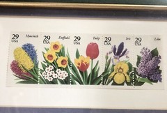 Garden Flower Series 1st Installment 1993 US Postage Stamps Gold Ornate Frame