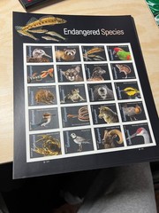 US SCOTT 5799 SHEET OF 20 ENDANGERED SPECIES FOREVER STAMPS MNH