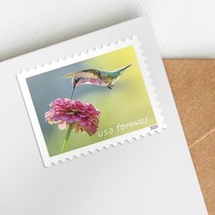 Garden Delights (Booklet of 20) First-Class Mail Forever Postage Stamps Scott…