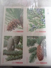 Christmas Holiday Evergreens Pine cone 4478-81 Genuine Postage stamp Booklet 20