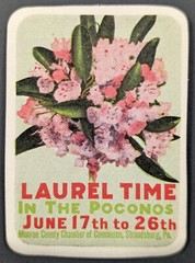 Vintage Laurel Time in the Poconos Flower Pennsylvania Poster Stamp