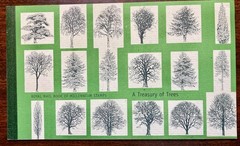 United Kingdom – «A Treasury of Trees» Stamp Booklet – Fine Condition