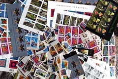 US MNH/OG Stamp Collection 500 Stamps of Each Denomination FV+ $1300