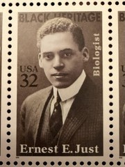 USPS Black Heritage Stamps Ernest Just – Biologist. Pane Of 20 32-cent MNH 1996.