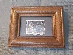 Siamese Cat, Exotic Shorthair Cat Stamp Framed Mounted 1987/88