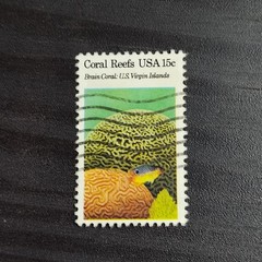 1980: 15 Cents, Coral Reefs: Brain Coral, Scott #1827 – Vintage USA Stamp