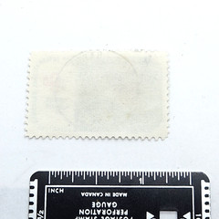Douglas fir Stamp 1969 Used 1376#