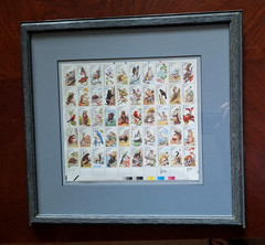 MINT 1987 USPS American Wildlife Stamps-professionally framed includes folder