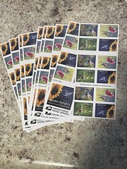200 Garden Delights Forever Stamps 10 Books of 20 Hummingbird 2024 MNH Postage