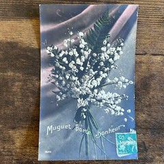 France Lily of the Valley Antique Postcard Sepia Flower Lily of the Valley
