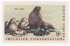 USA 1972 – WILDLIFE CONSERVATION Issue — FUR SEAL – MNH Stamp – Sc. #1464