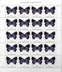 Colorado Hairstreak Butterfly Stamp Sheet – Non-Machineable Forever –MNH