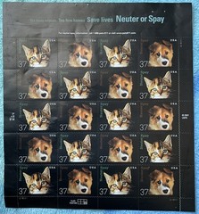United States 37¢ Neuter and Spay Pets Postage Stamp #3670 MNH Full Sheet