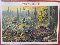 Complete Set of 12 NATURE OF AMERICA Sheets US Postage Stamps USA Sc 3293 – 4474