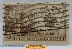 USA Postage Boy Scouts of America 3 Cents Stamp – #S42135NQ
