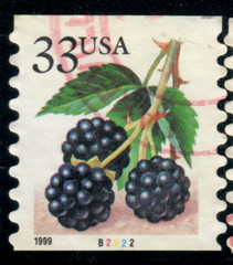 USA – 1999 – Fruits – Booklet Stamps – Blackberries – 33¢ – #3826
