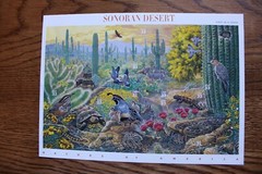 3293 SONORAN DESERT 33 CENT MNH stamps in 6.5 x 10 sheet 1ST in Series