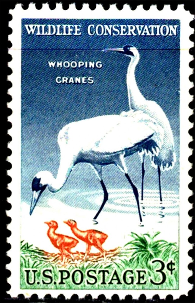 USA 1957 – Wildlife Conservation Series – Whooping Crane – MNH Stamp – Sc. #1098