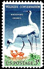 USA 1957 – Wildlife Conservation Series – Whooping Crane – MNH Stamp – Sc. #1098