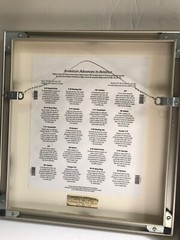 US Planes Aviation Classic American Aircraft Matted and Framed Aviation Sheets
