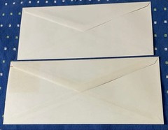 United States USPS 25¢ Hologram Envelope Set of 2 Unused Space