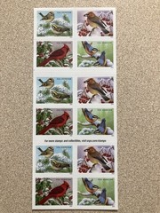 Book of 20 Forever Stamps – Songbirds in Snow