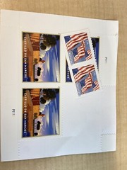 USPS Priority Mail Stamp for Medium Flat Rate Box ($17.16 value)