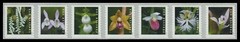 US Forever Wild Orchids – Coil Strip of 7 from 5435-5444 NH MNH 2020