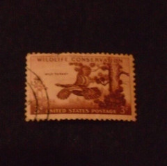 # 1077 – 1956 3¢ Wild Turkey wildlife conservation Used 1 Stamp + 2 FREE Stamps