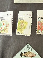 “13LotBuy”Nevis MNH Assorted Stamp Buy