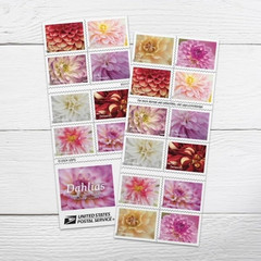 Dahlias 2025 (Book of 20) First-Class Mail Forever Postage Stamps