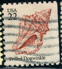 USA – 1985 – Seashells Booklet Issue – Nucella lamellosa – 22¢ – #3709