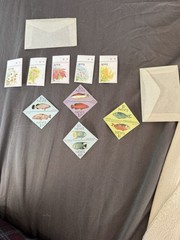 “13LotBuy”Nevis MNH Assorted Stamp Buy