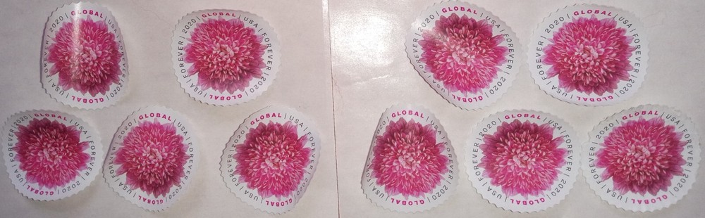 $17 = 10 $1.70 USPS Global Forever Stamps 1 oz First Class 2020 Chrysanthemum 🌸