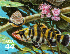 USA 2009 KELP FOREST 11 TH IN SERIES NATURE OF AMERICA TEN STAMPS,SCOTT 4423 MNH