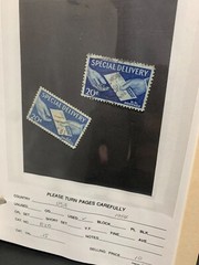 US Scott #E20, 1954 20c Special Delivery Letter in Hand Stamps Used (2pcs)