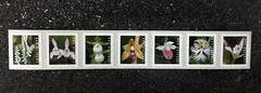 2020USA Forever Wild Orchids – Coil Strip of 7 Mint flowers