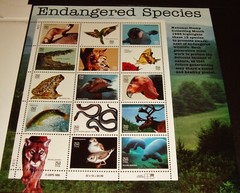 US Stamps collection American Aircraft, Species, Sylvester & Tweety , World NEW