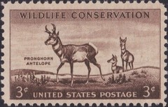 USA 1956 – Pronghorn Antelope (Antilocapra americana) – Mnh Stamp 🤩 Scott #1078