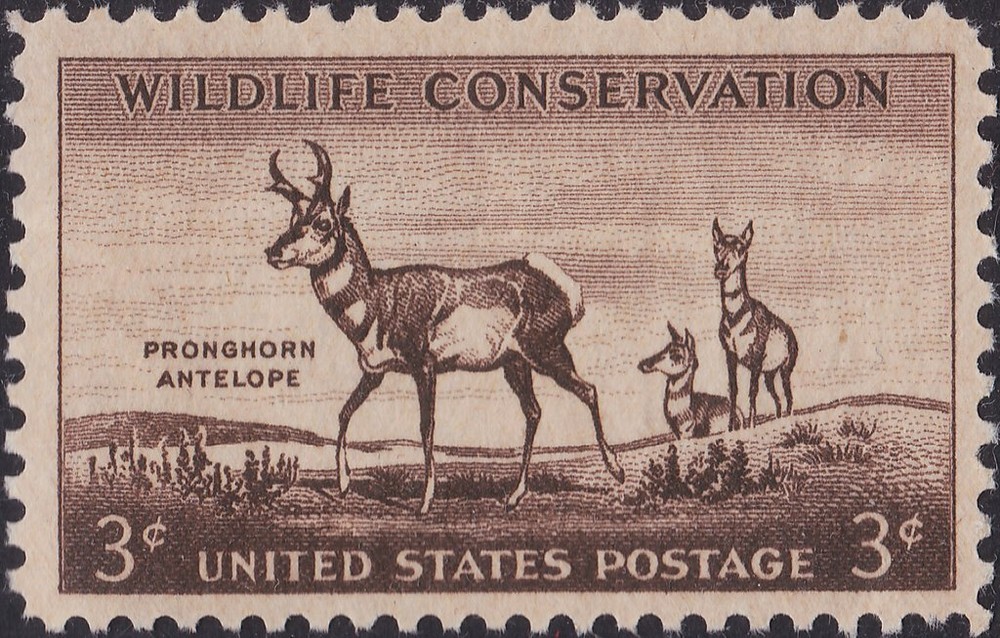 USA 1956 – Pronghorn Antelope (Antilocapra americana) – Mnh Stamp – Scott #1078